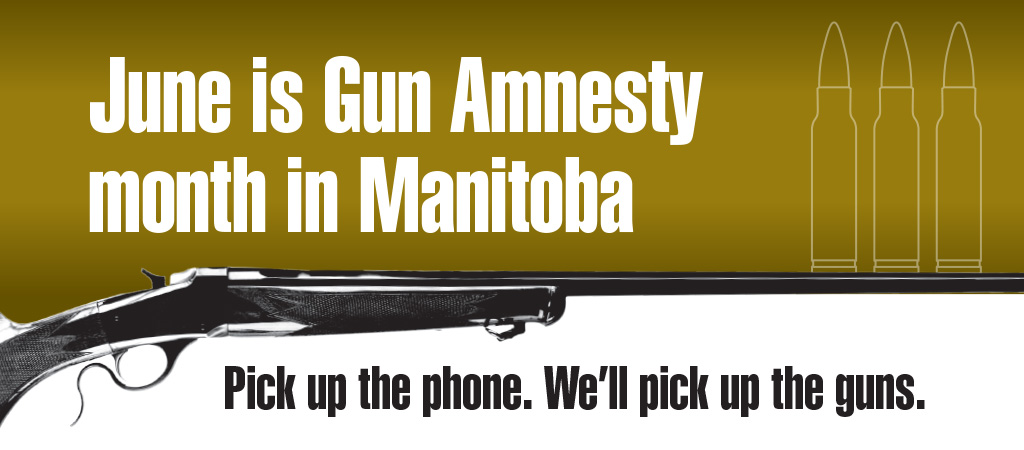 Gun Amnesty