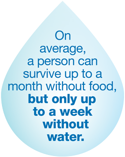 A tap that drips once per second can waste 10,000 litres of water in one year.