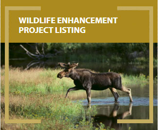 Wildlife Enhancement Project Listing
