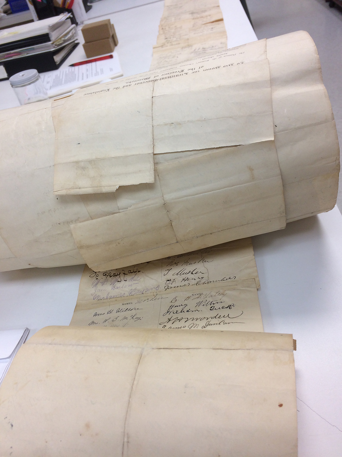 The 1893 petition undergoing preservation treatment